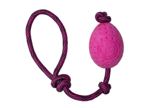 Hračka pes EGG MAXI plov. z TPR růžová Kiwi