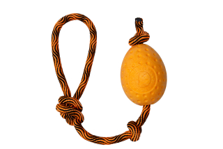 Hračka pes EGG MAXI plov. z TPR oranžová Kiwi